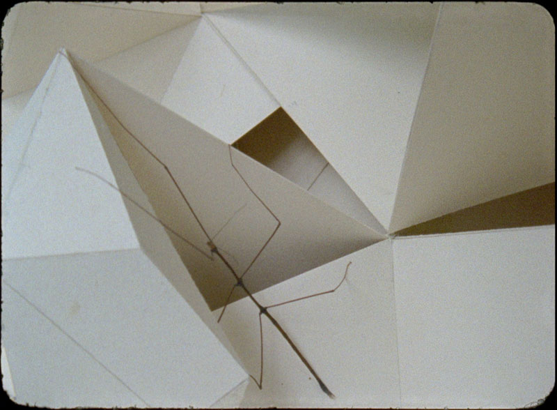 Platos (1999)