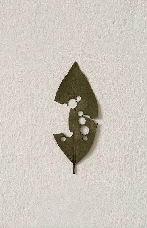 Platos (1999)