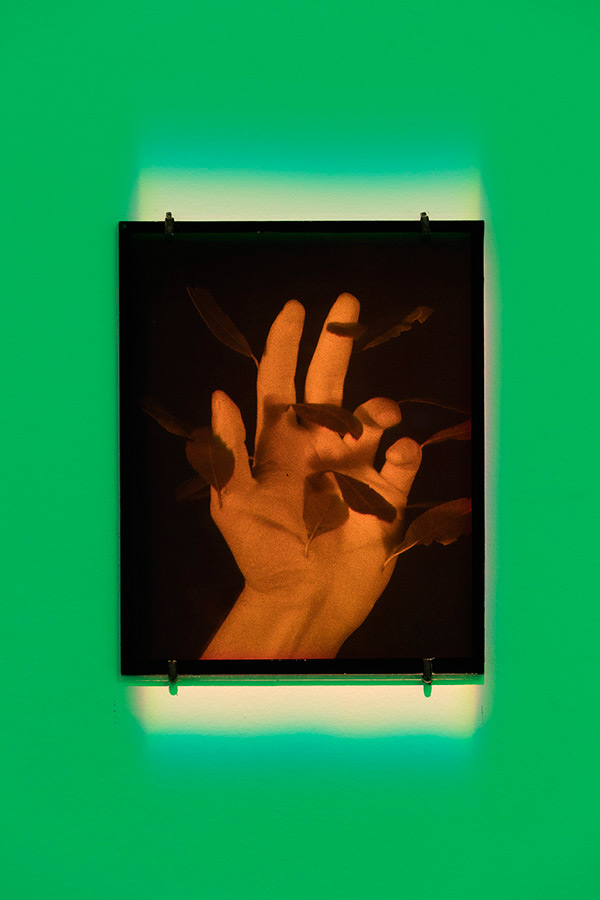 Platos (1999)